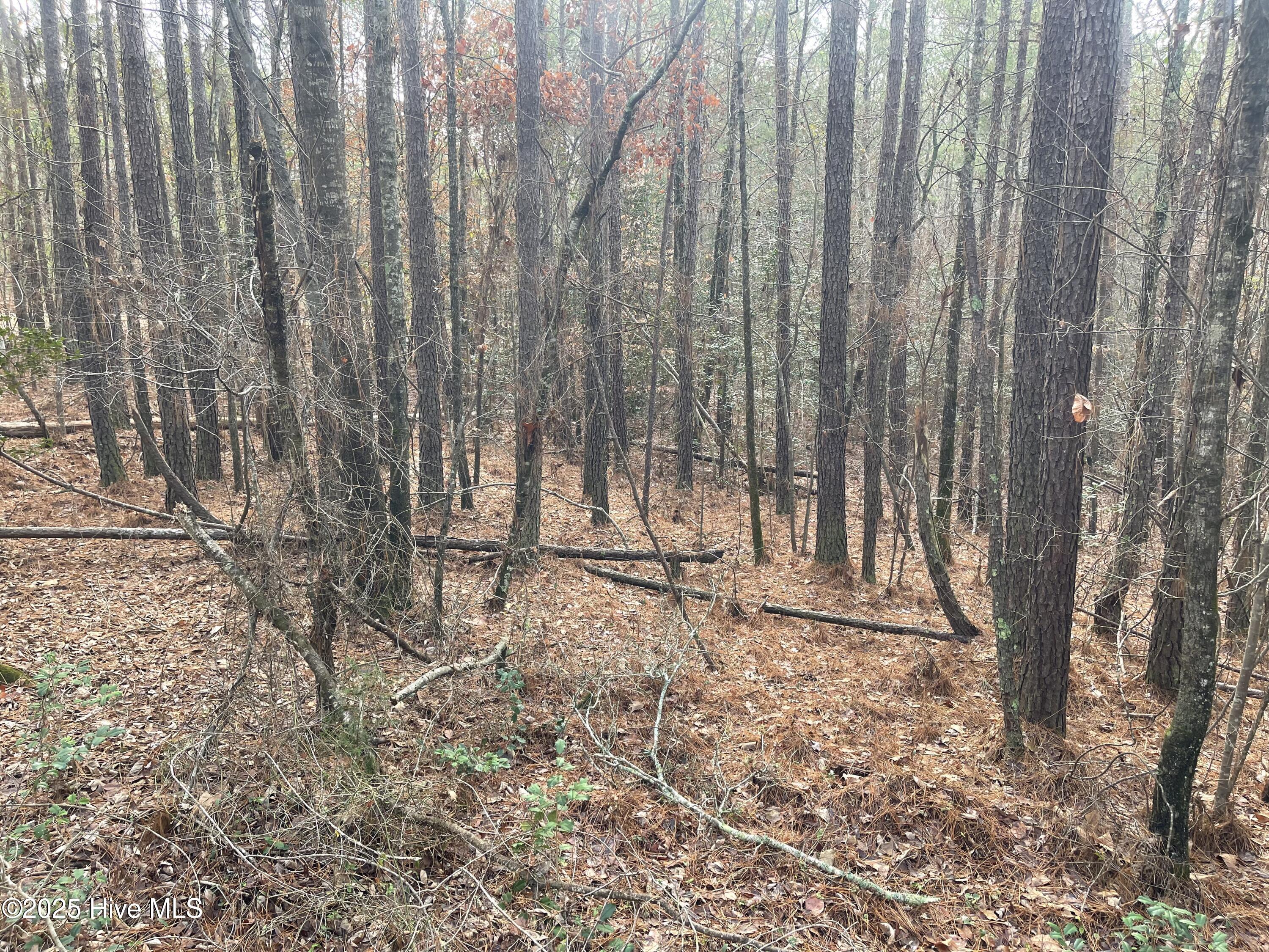 0 North State Lane Rockingham, NC 28379 - Photo 17 of 34 N State Ln