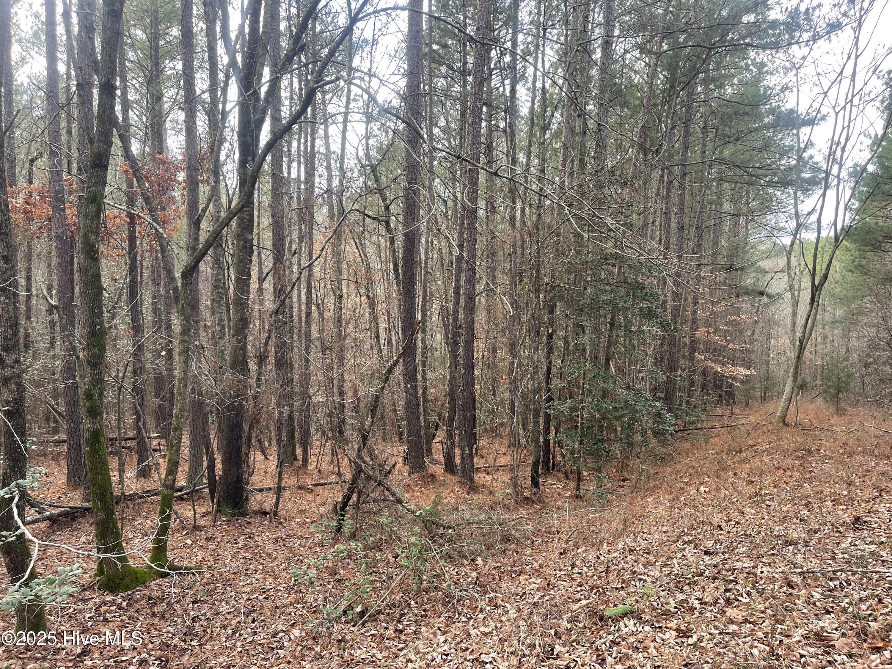 0 North State Lane Rockingham, NC 28379 - Photo 18 of 34 N State Ln