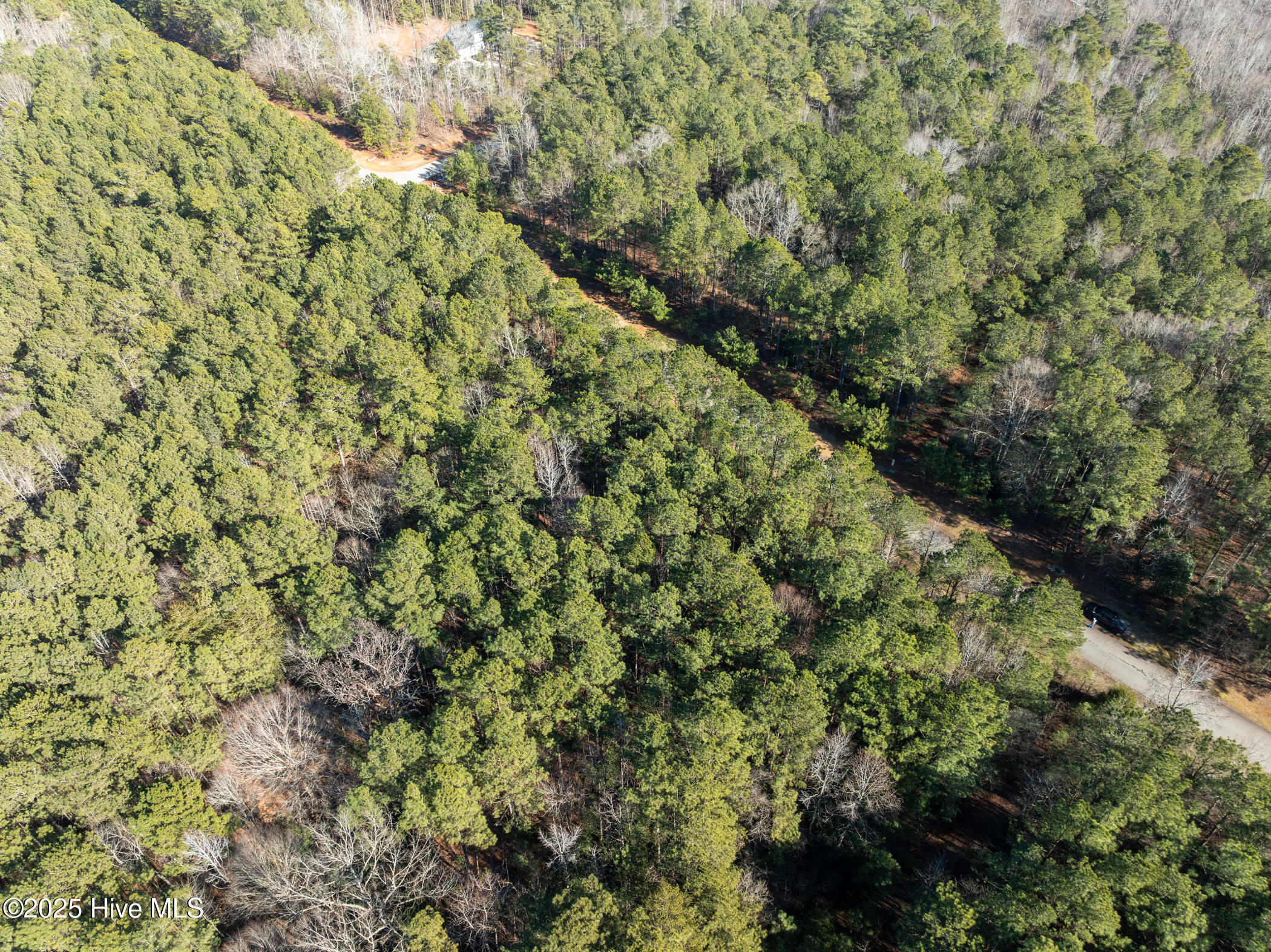 0 North State Lane Rockingham, NC 28379 - Photo 21 of 34 N State Ln