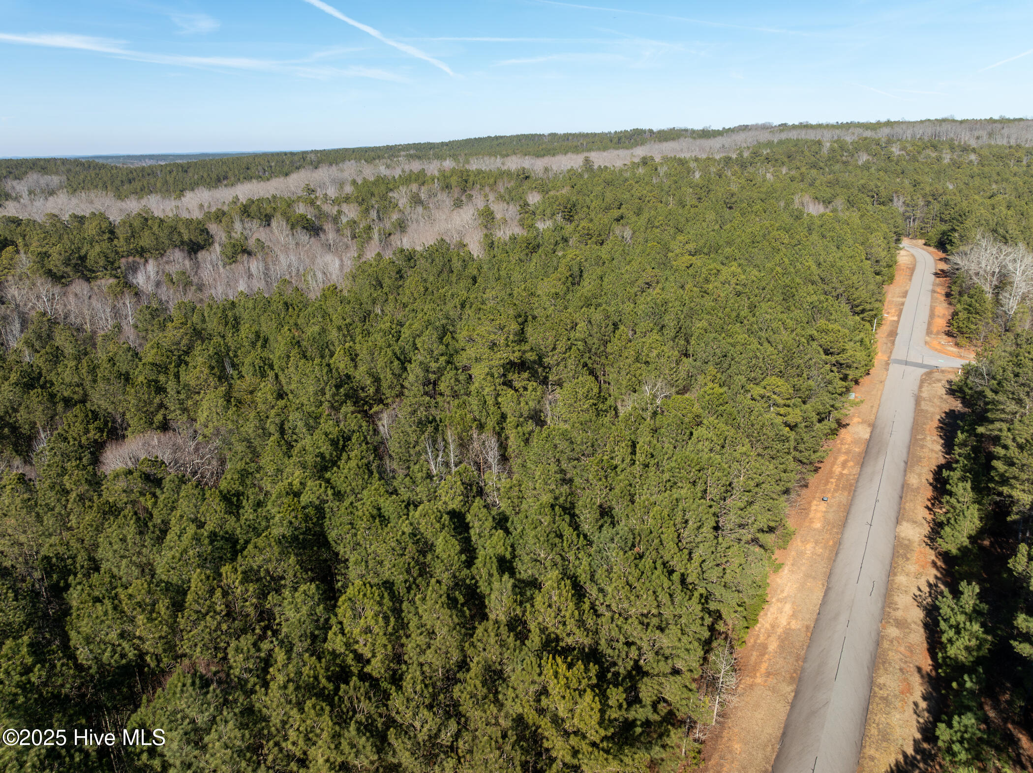 0 North State Lane Rockingham, NC 28379 - Photo 22 of 34 N State Ln