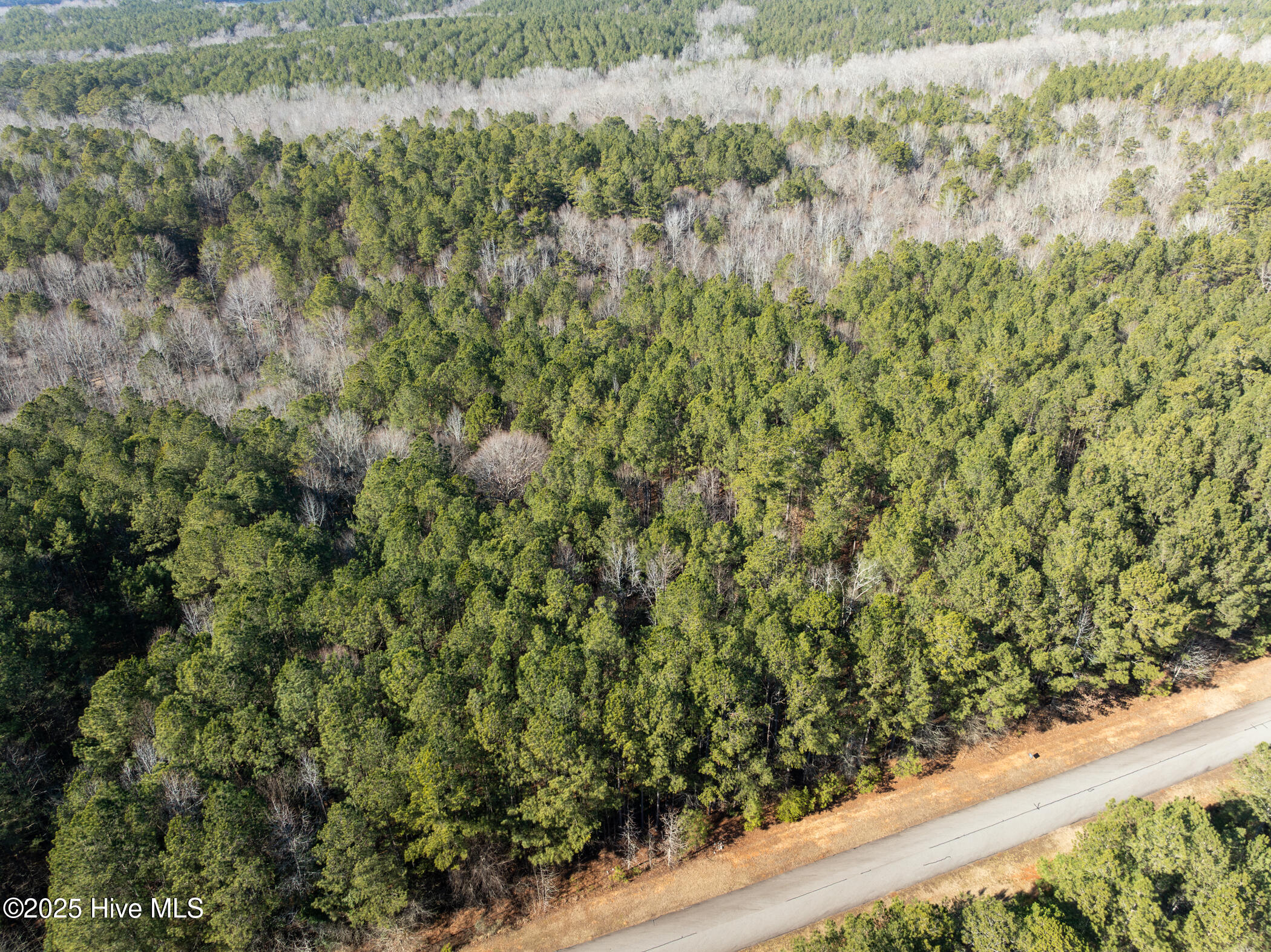 0 North State Lane Rockingham, NC 28379 - Photo 24 of 34 N State Ln