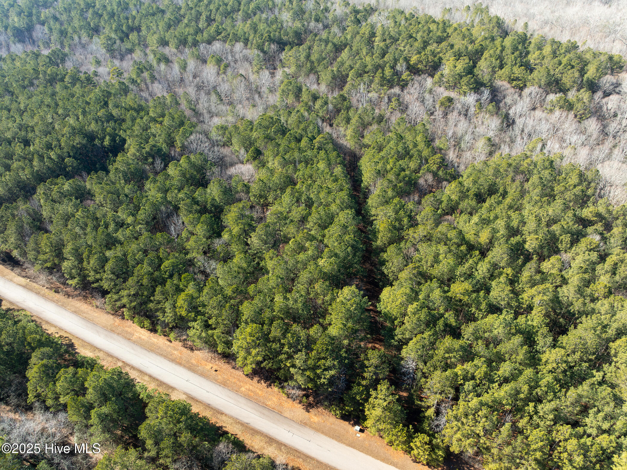 0 North State Lane Rockingham, NC 28379 - Photo 25 of 34 N State Ln