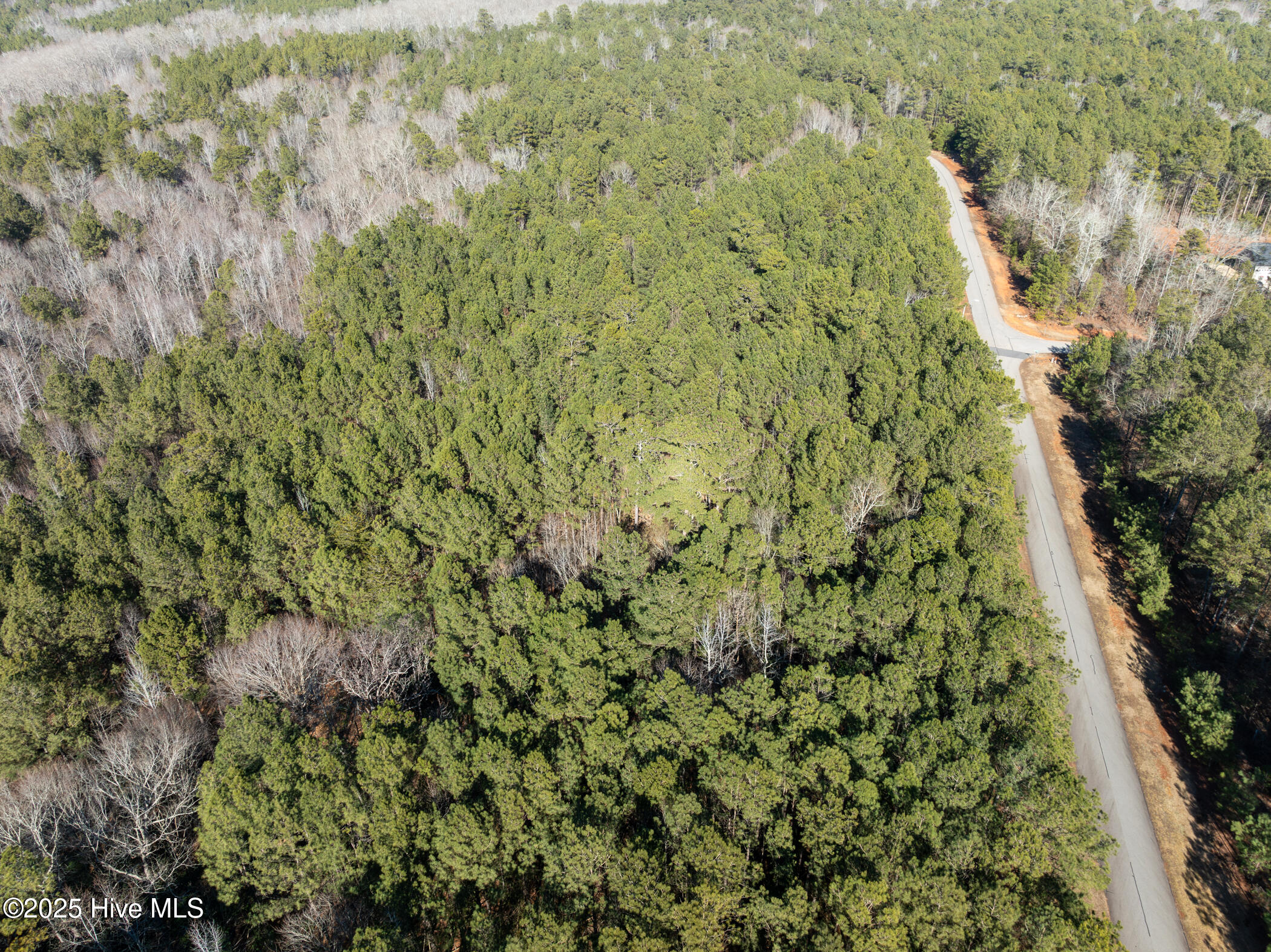 0 North State Lane Rockingham, NC 28379 - Photo 26 of 34 N State Ln