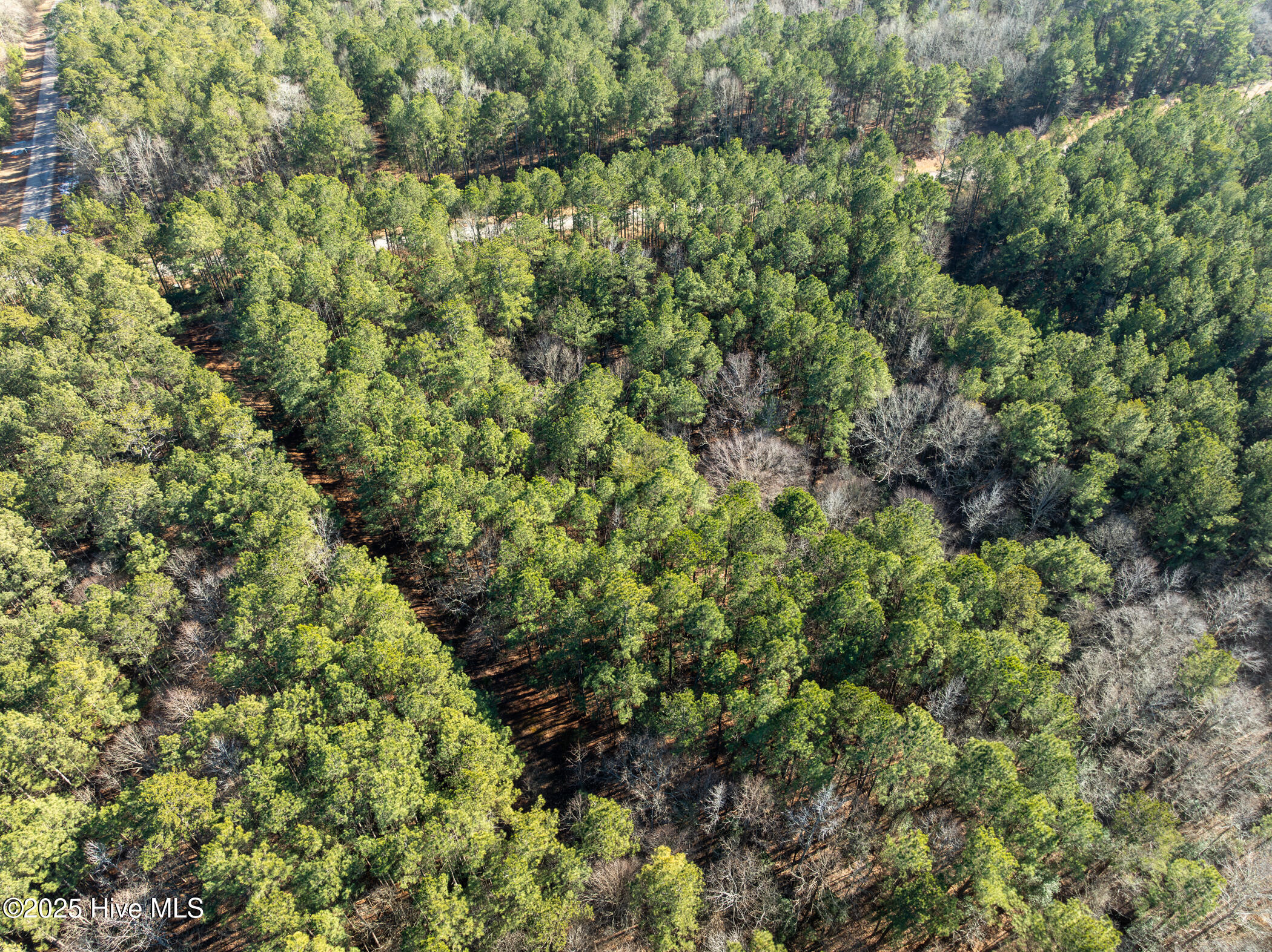 0 North State Lane Rockingham, NC 28379 - Photo 27 of 34 N State Ln
