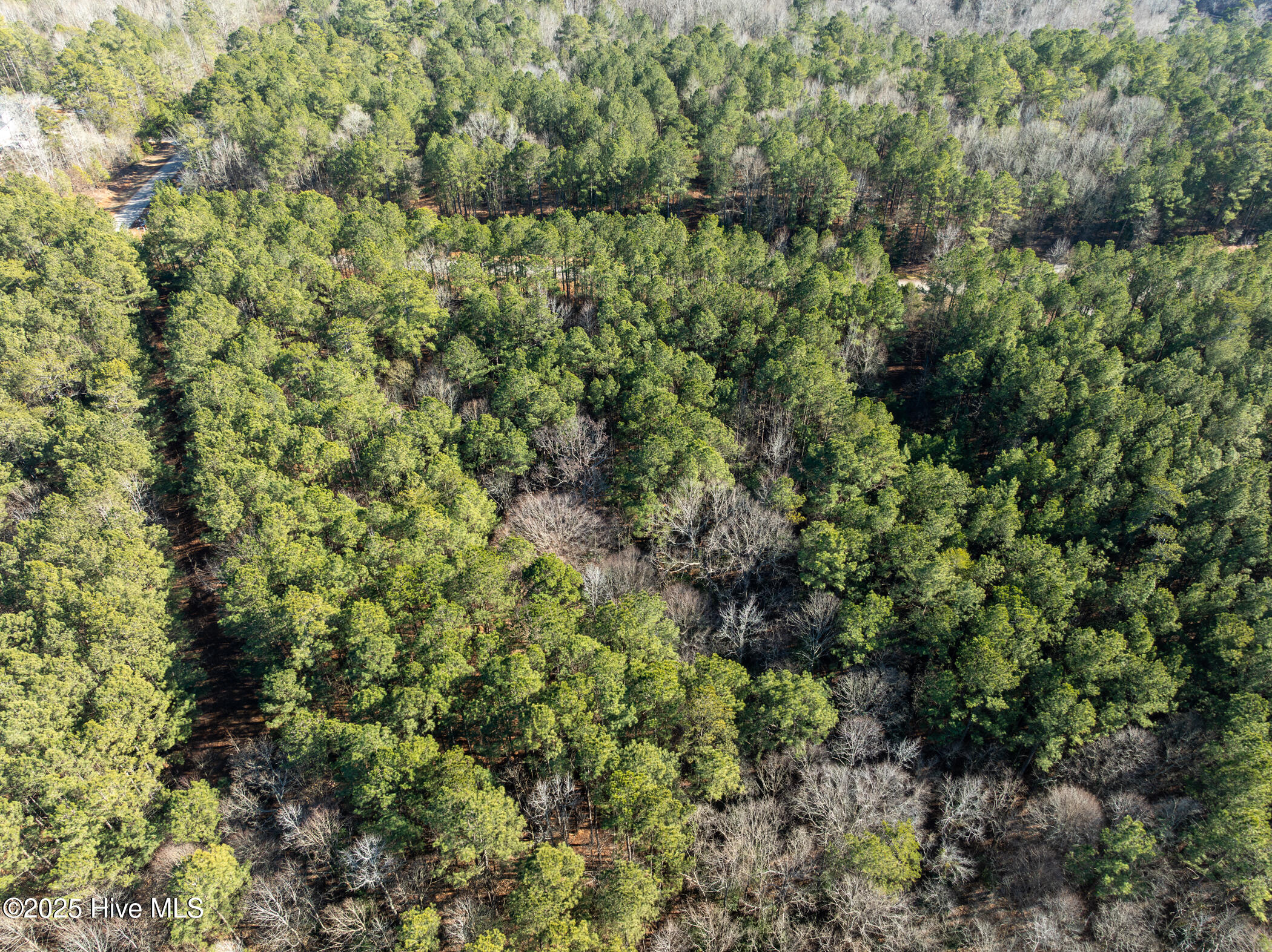 0 North State Lane Rockingham, NC 28379 - Photo 30 of 34 N State Ln