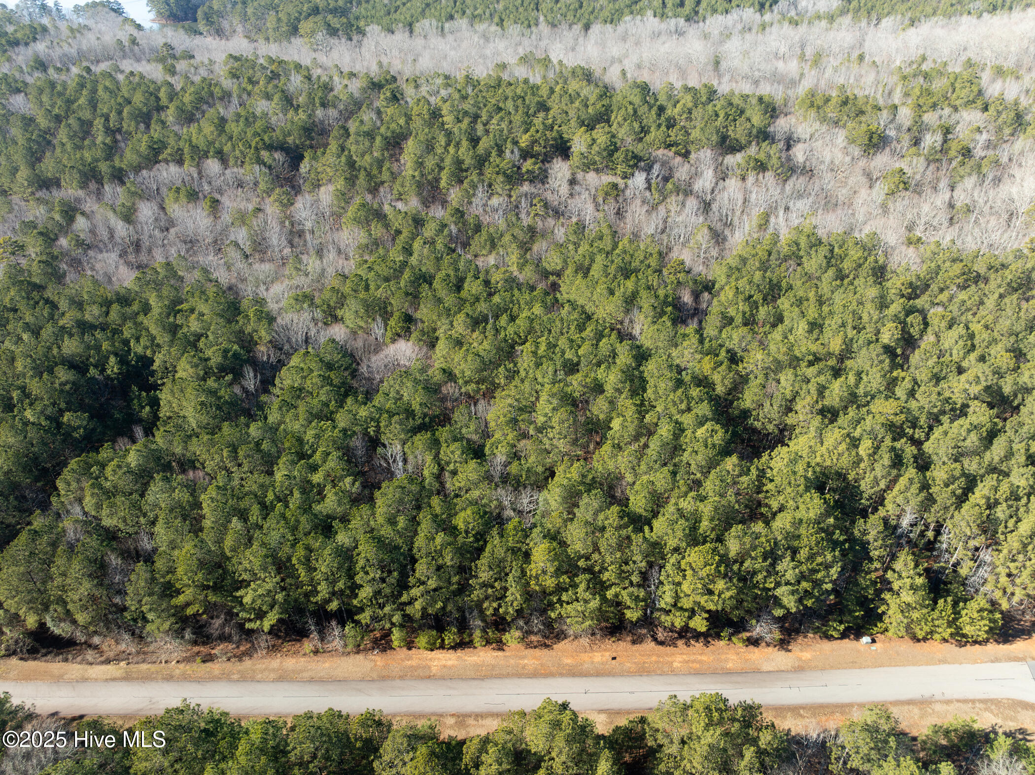 0 North State Lane Rockingham, NC 28379 - Photo 31 of 34 N State Ln