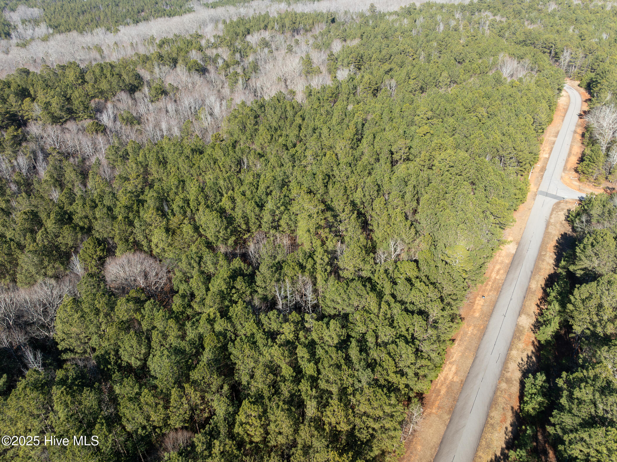 0 North State Lane Rockingham, NC 28379 - Photo 32 of 34 N State Ln
