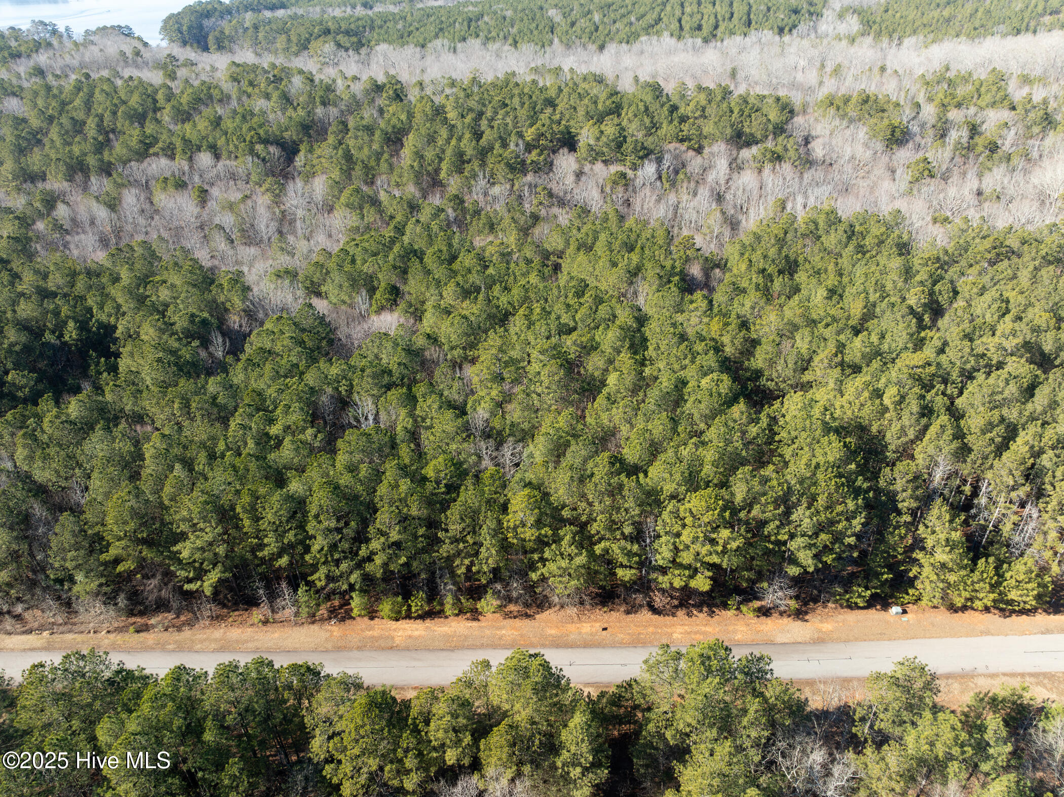 0 North State Lane Rockingham, NC 28379 - Photo 34 of 34 N State Ln