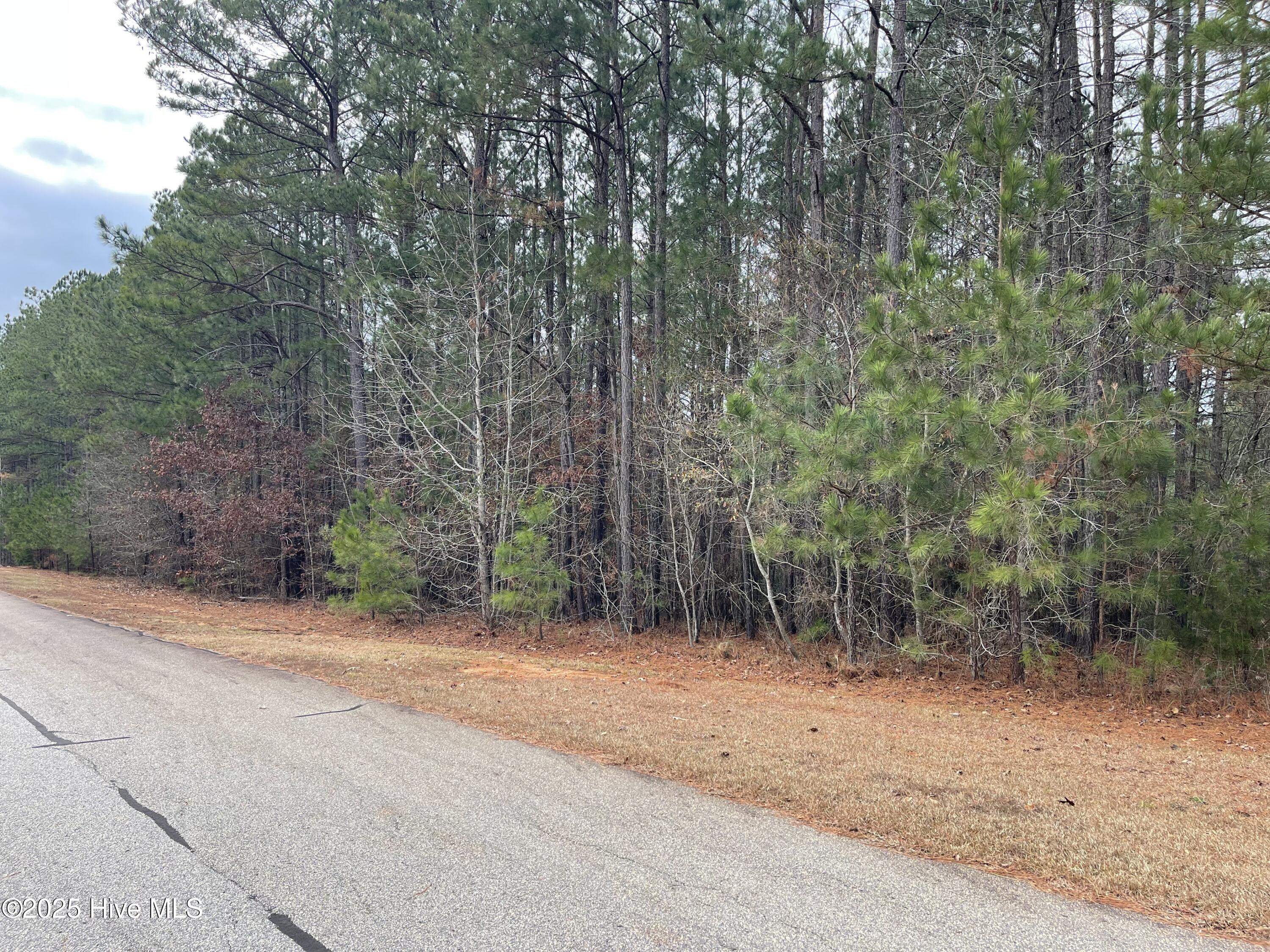 0 North State Lane Rockingham, NC 28379 - Photo 4 of 34 N State Ln