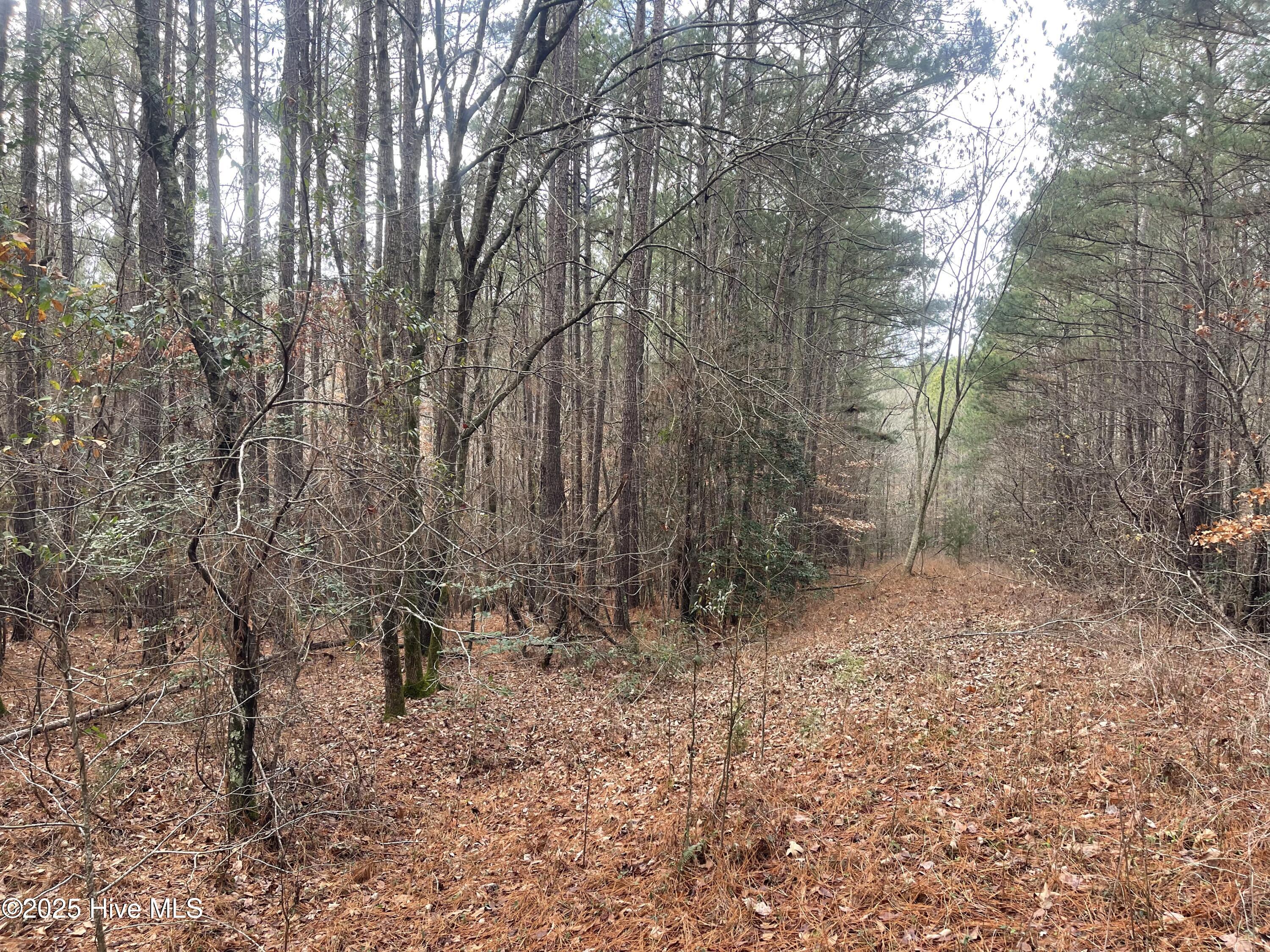 0 North State Lane Rockingham, NC 28379 - Photo 5 of 34 N State Ln