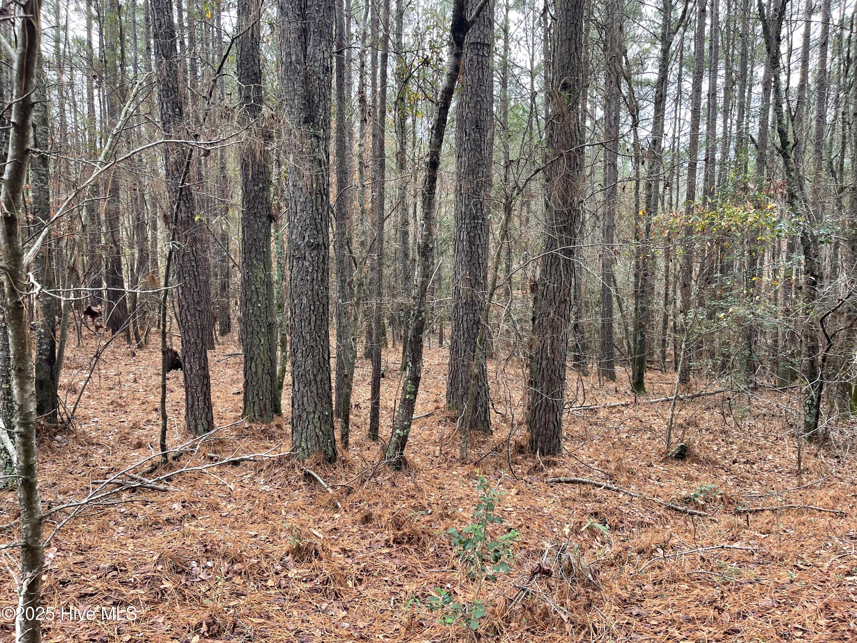 0 North State Lane Rockingham, NC 28379 - Photo 6 of 34 N State Ln