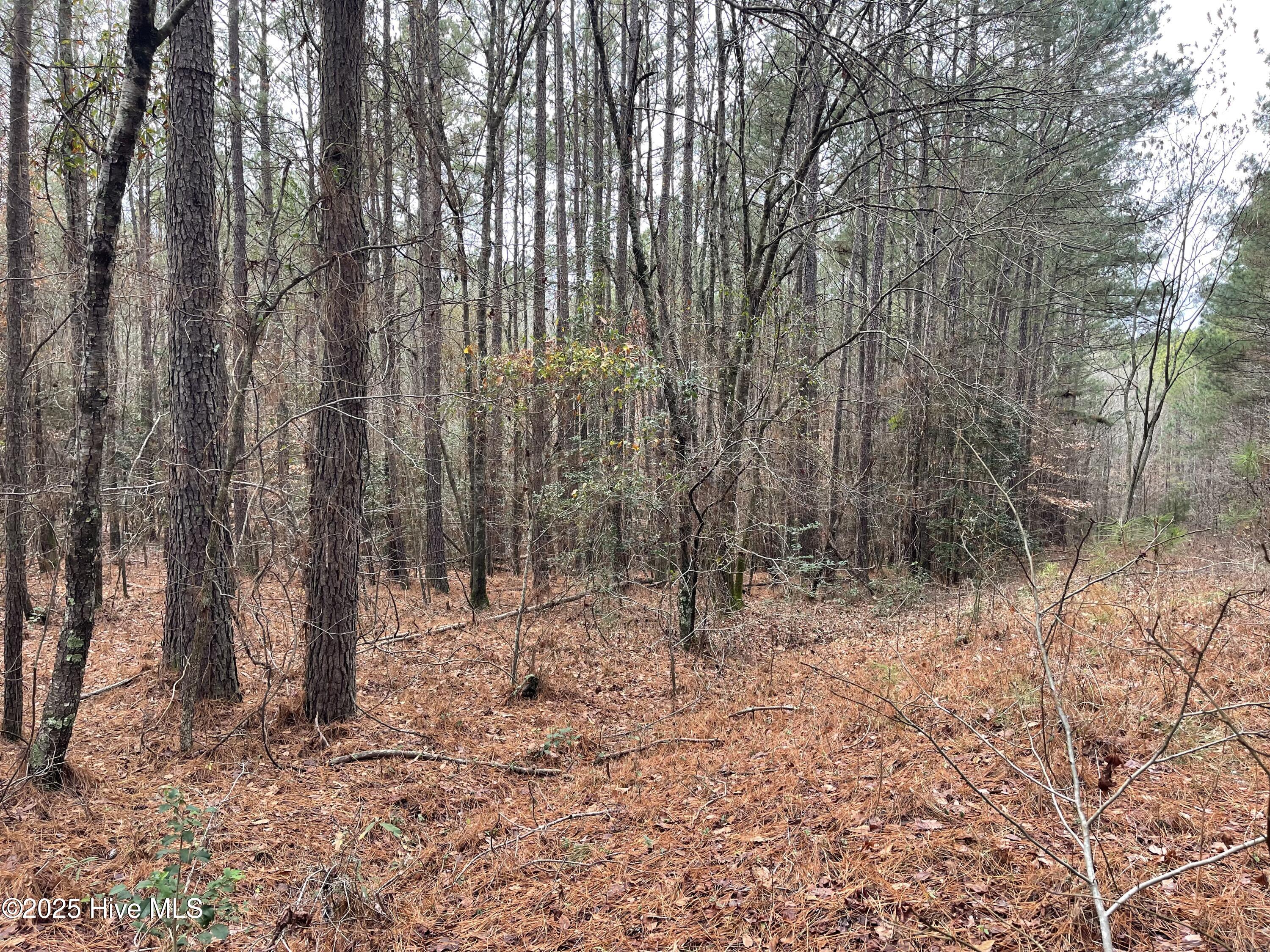 0 North State Lane Rockingham, NC 28379 - Photo 7 of 34 N State Ln