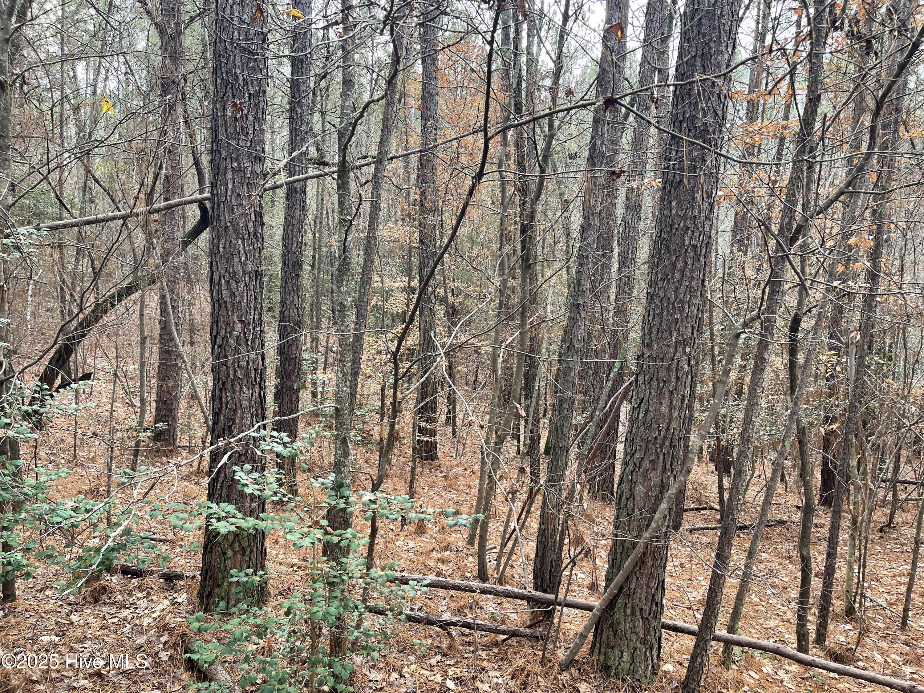 0 North State Lane Rockingham, NC 28379 - Photo 9 of 34 N State Ln