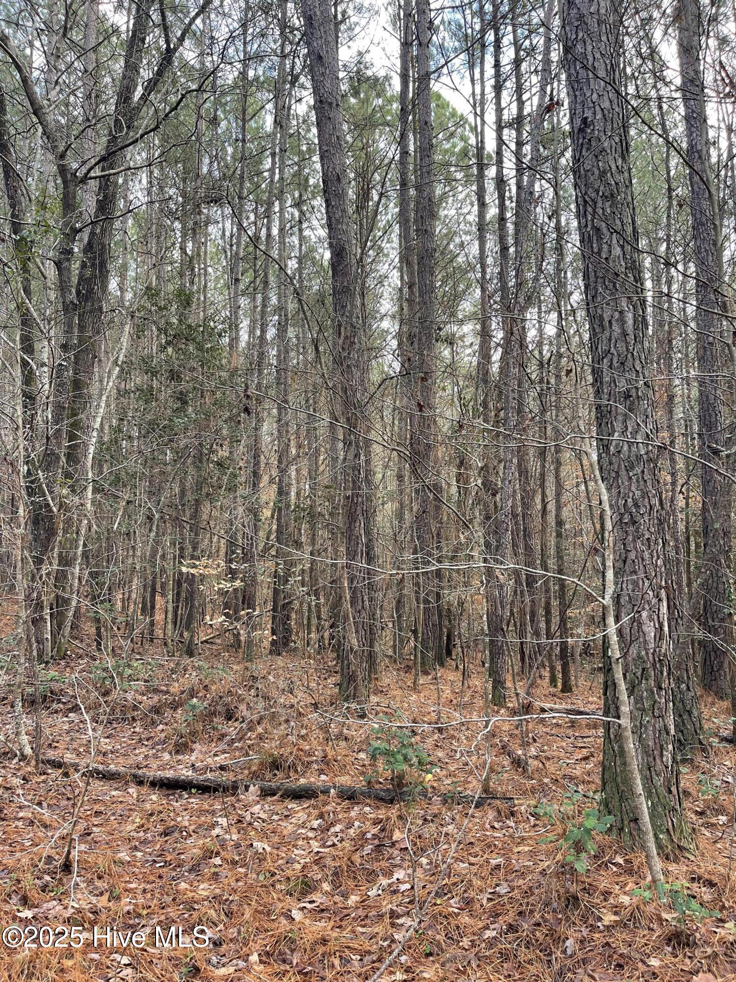 0 North State Lane Rockingham, NC 28379 - Photo 10 of 34 N State Ln