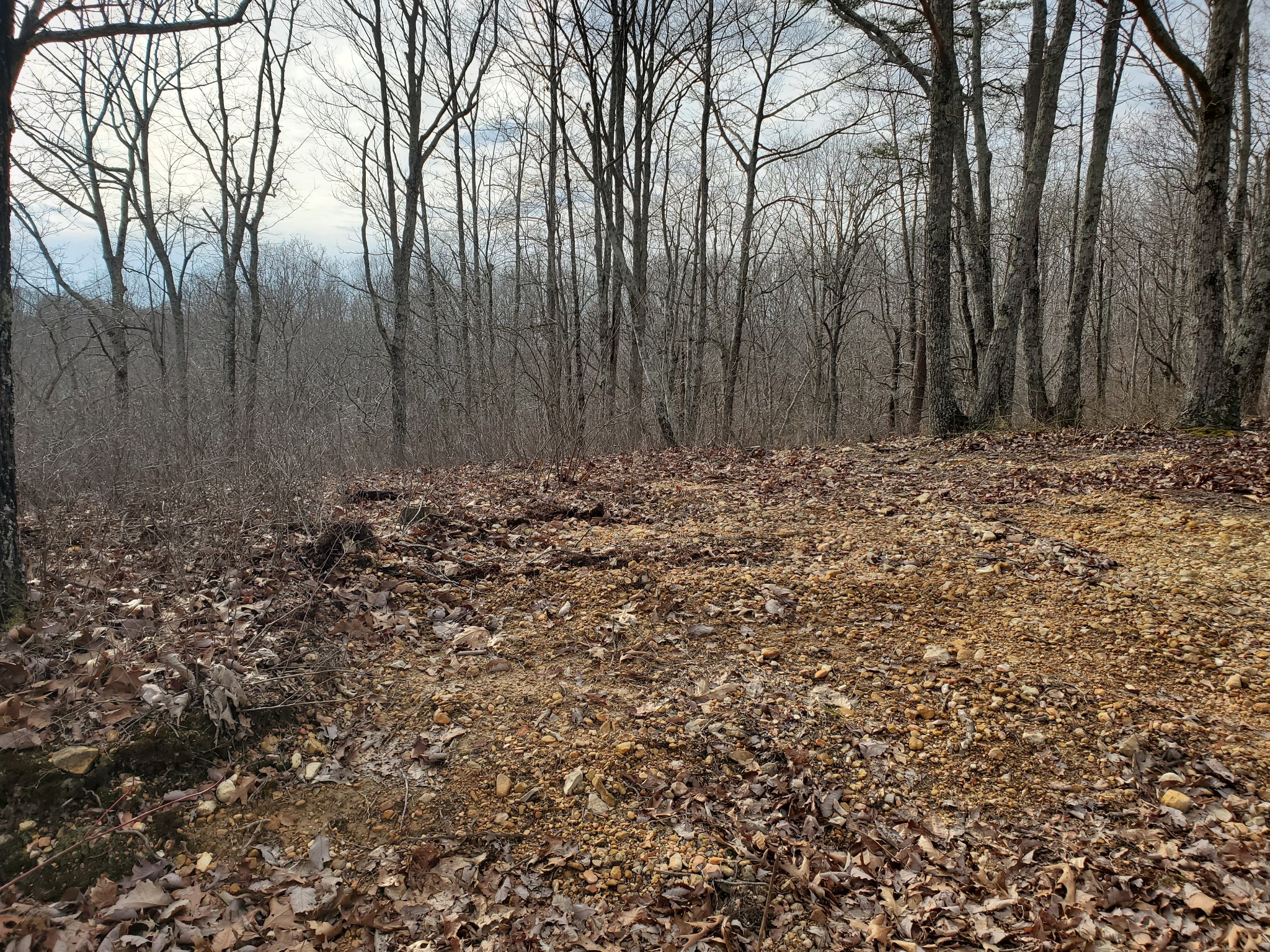 0 Highwater Road Waverly, TN 37185 - Photo 1 of 4