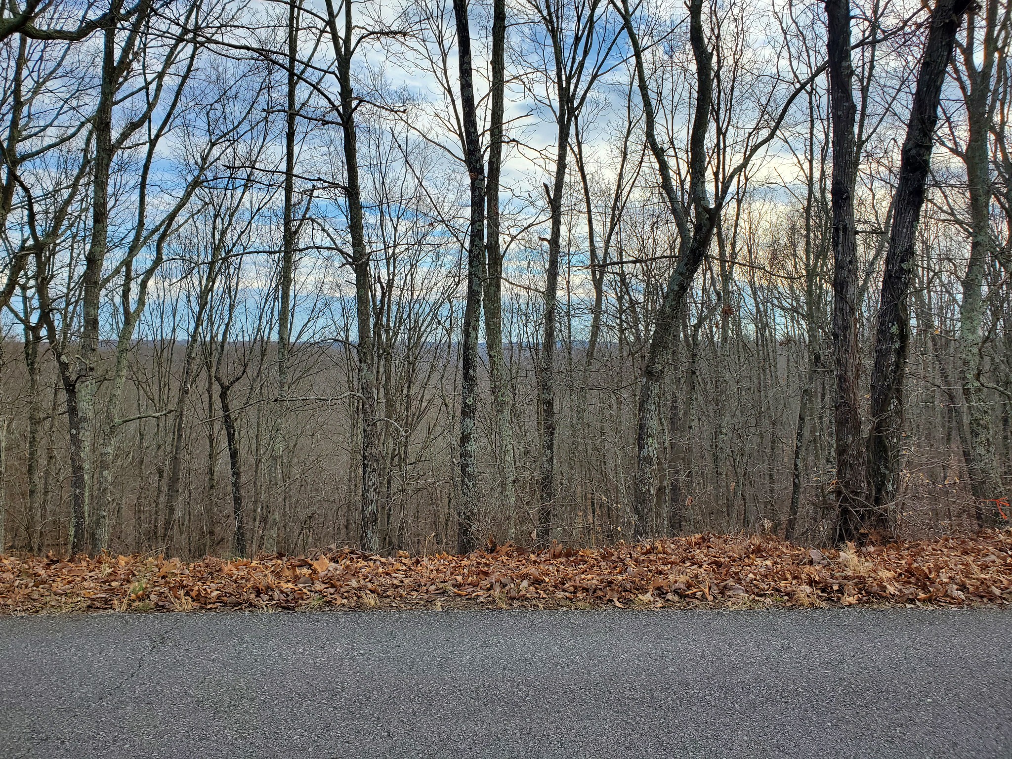 0 Highwater Road Waverly, TN 37185 - Photo 3 of 4