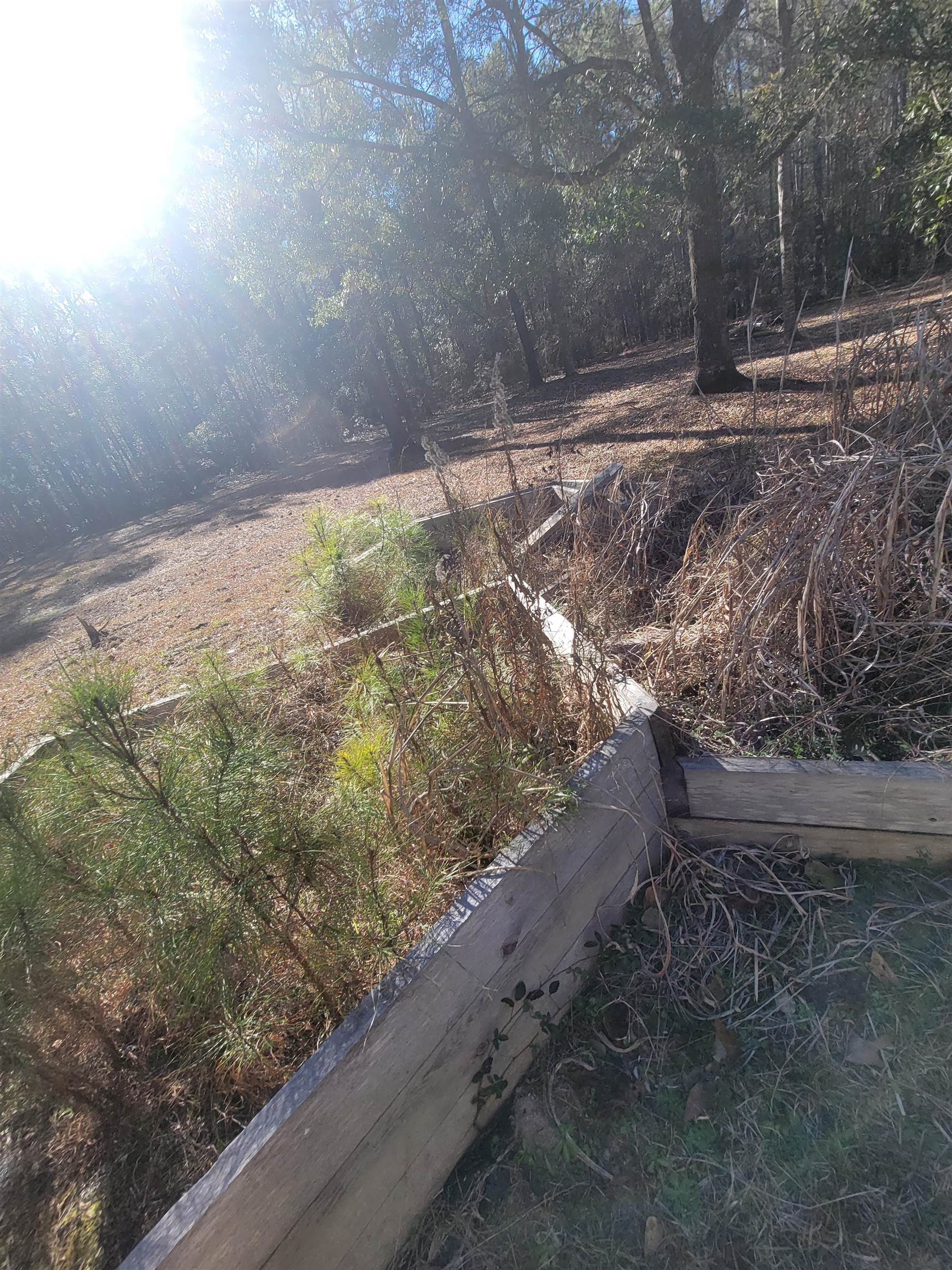 70 Generation Court Monticello, FL 32344 - Photo 13 of 54