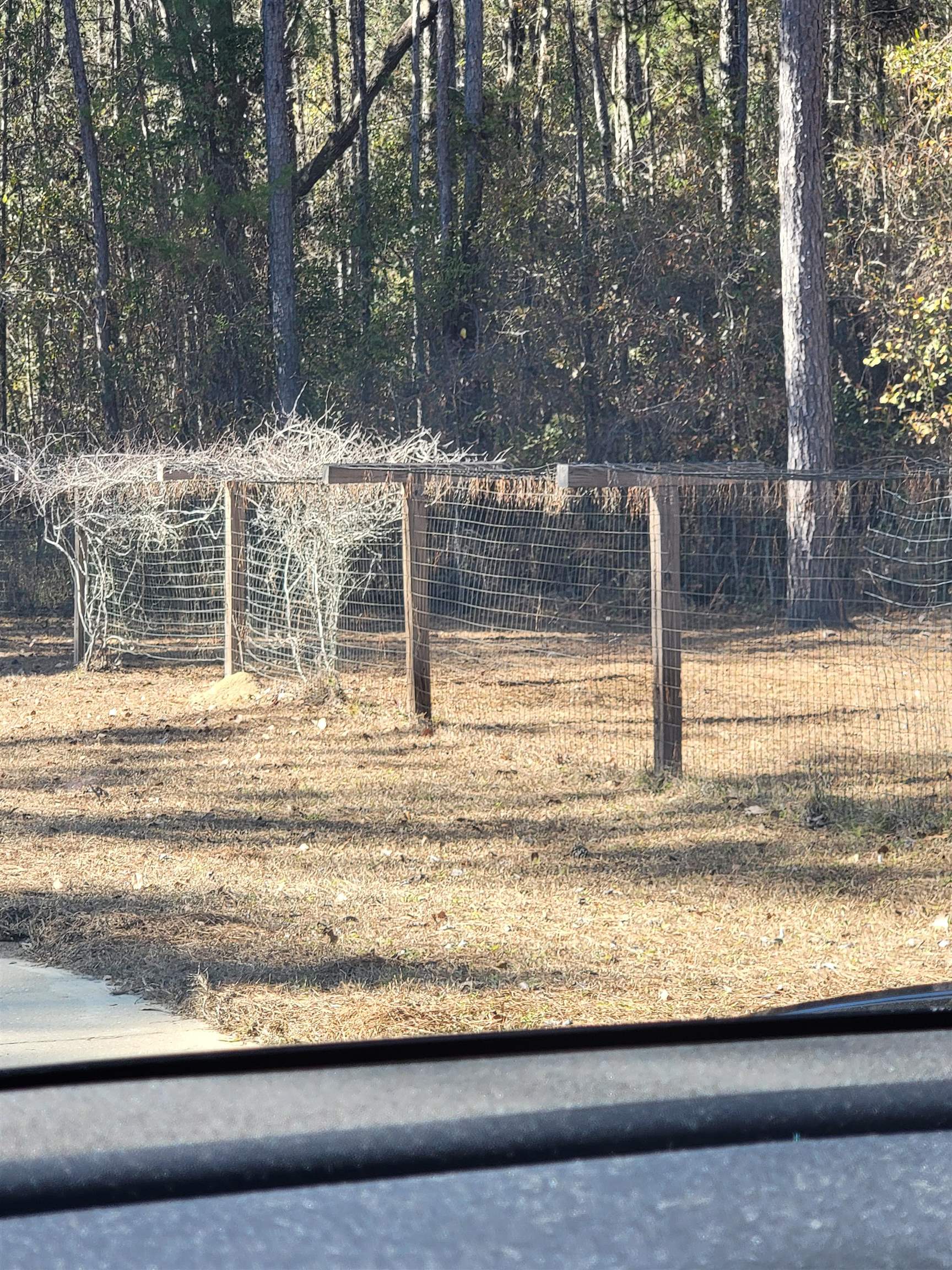 70 Generation Court Monticello, FL 32344 - Photo 2 of 54