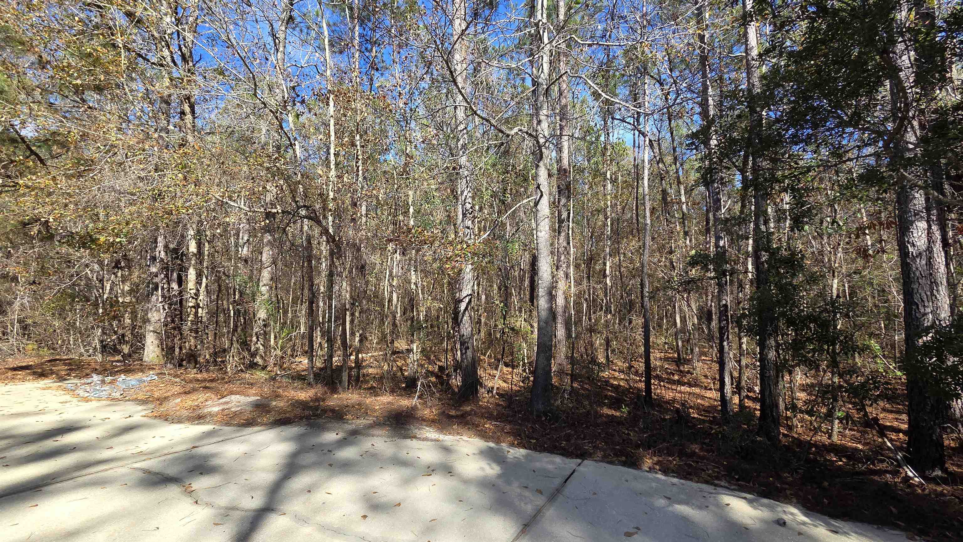 70 Generation Court Monticello, FL 32344 - Photo 24 of 54