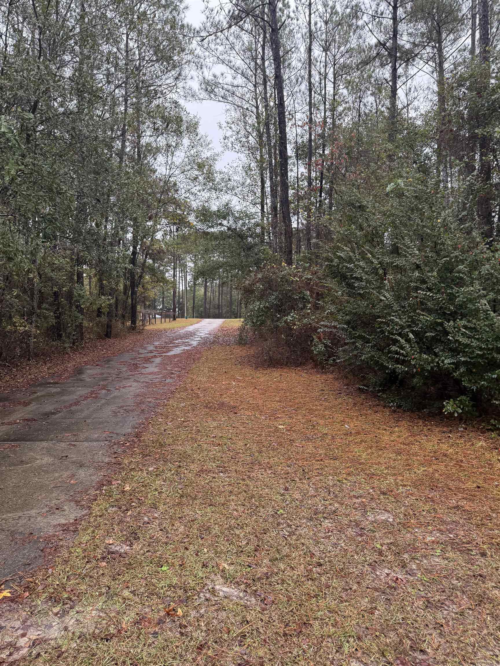 70 Generation Court Monticello, FL 32344 - Photo 52 of 54