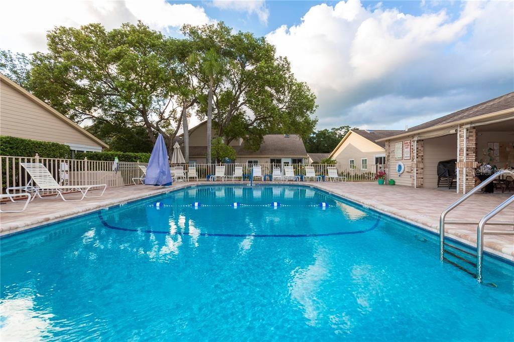 4523 Glen Hollow New Port Richey, FL 34653 - Photo 2 of 62 a view of a swimming pool with a patio