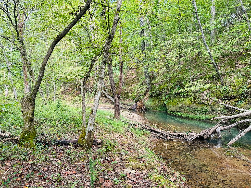 0 Barbeque Road Dickson, TN 37055 - Photo 9 of 17 Gallery Image 9