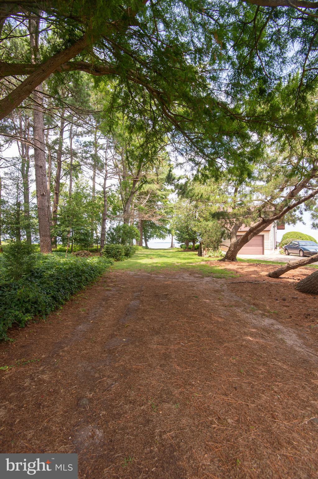 403 Sandy Hill Road Cambridge, MD 21613 - Photo 40 of 49 lane to access to the water