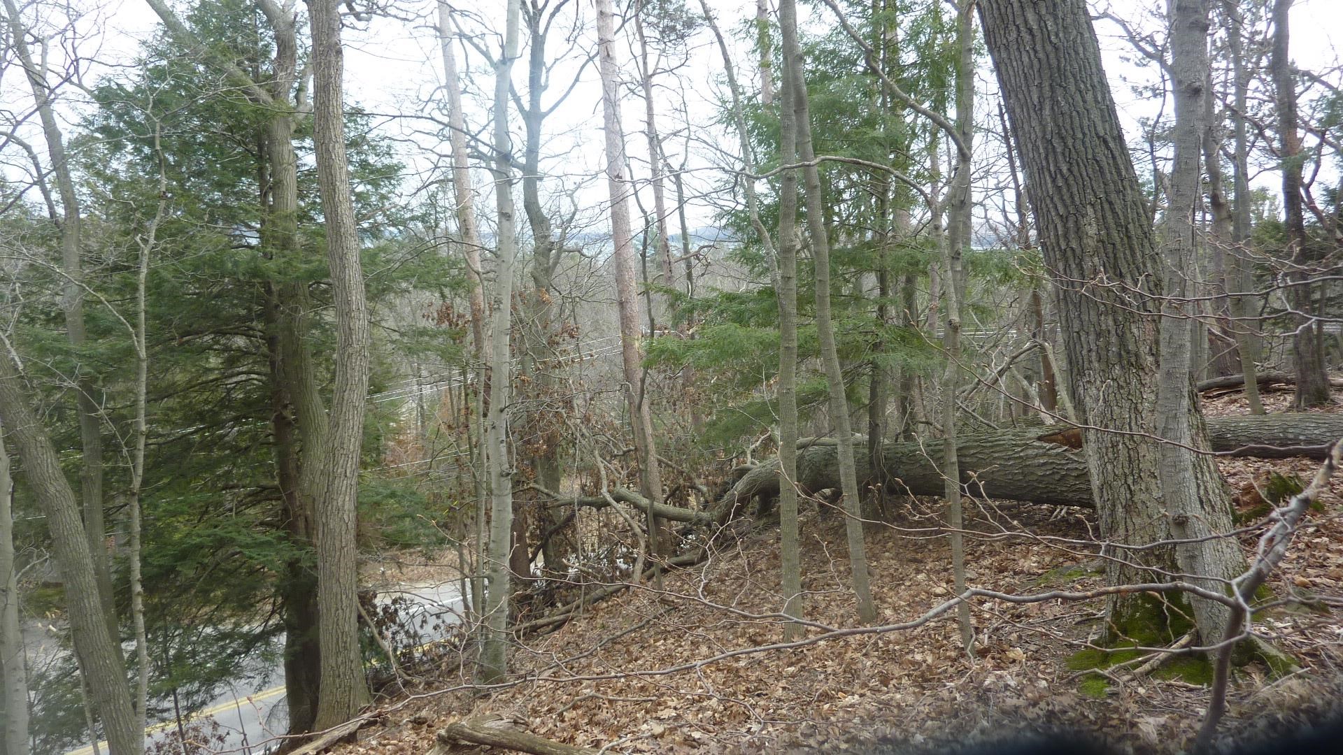 0 Old State Road Frankfort, MI 49635 - Photo 10 of 17