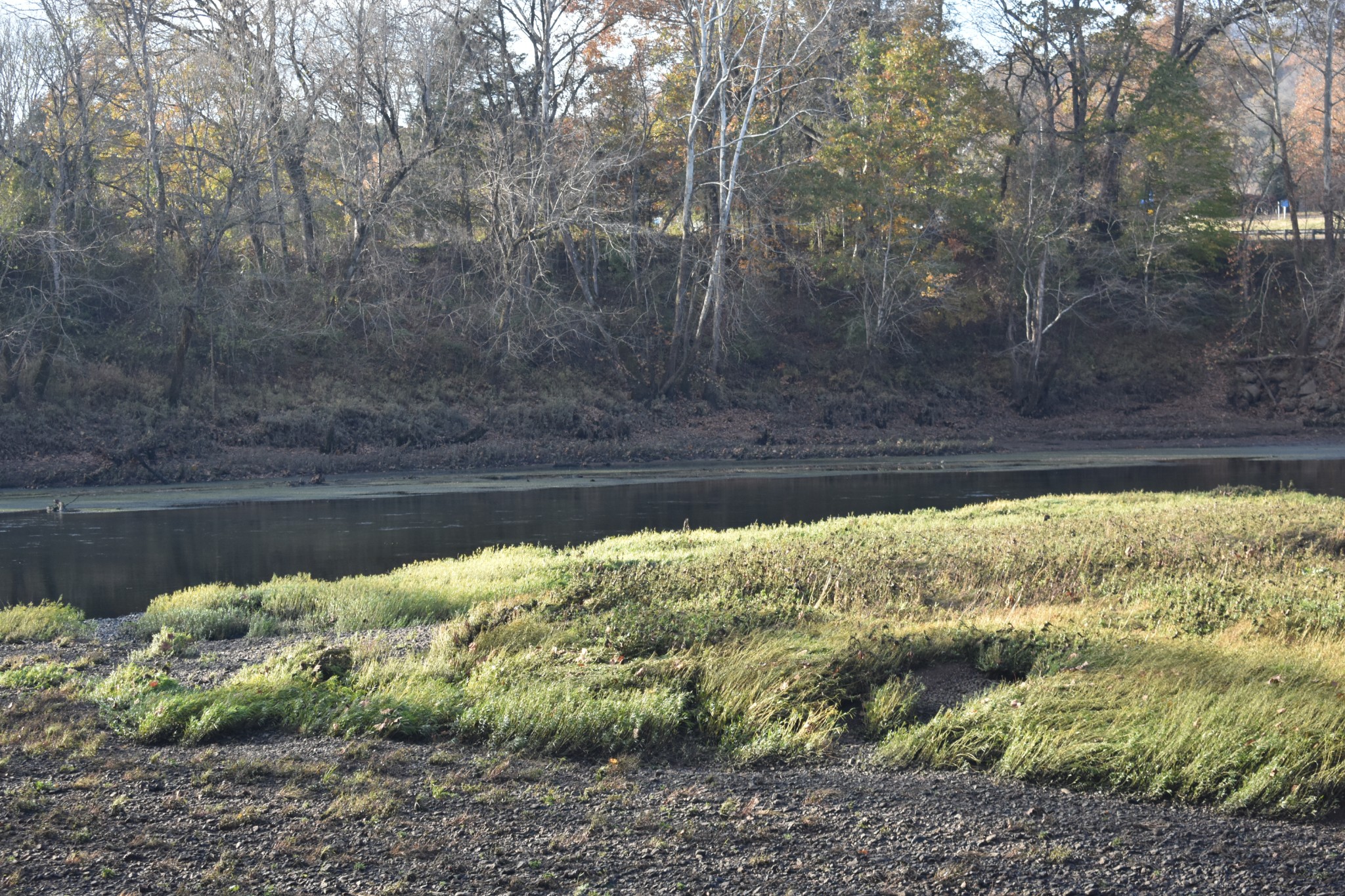 4755 Medley Amonette Road Buffalo Valley, TN 38548 - Photo 27 of 36