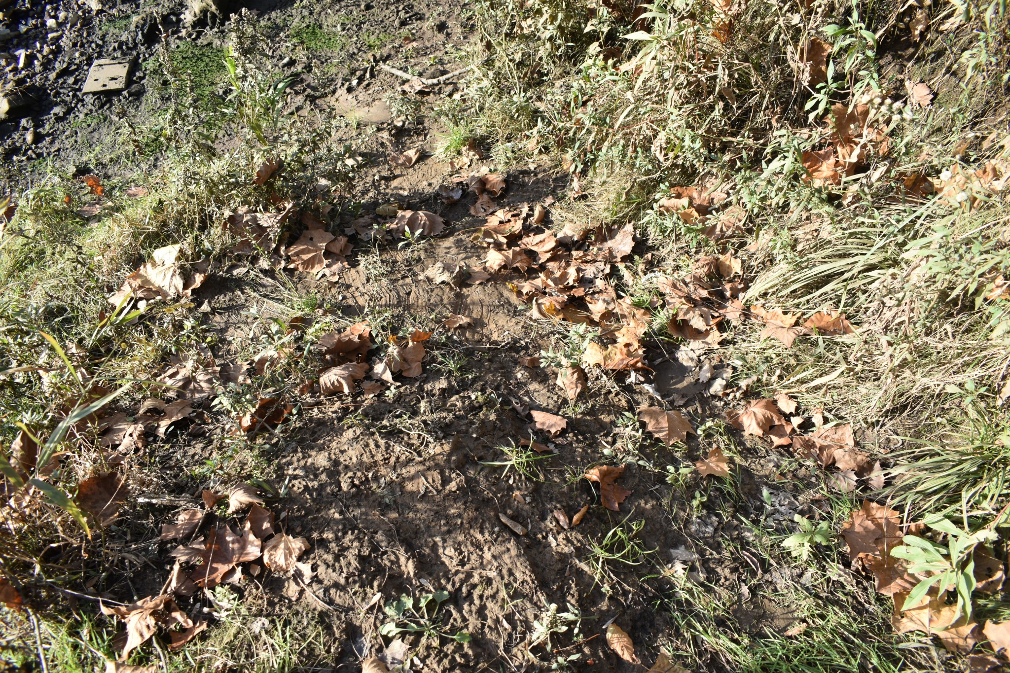 4755 Medley Amonette Road Buffalo Valley, TN 38548 - Photo 29 of 36