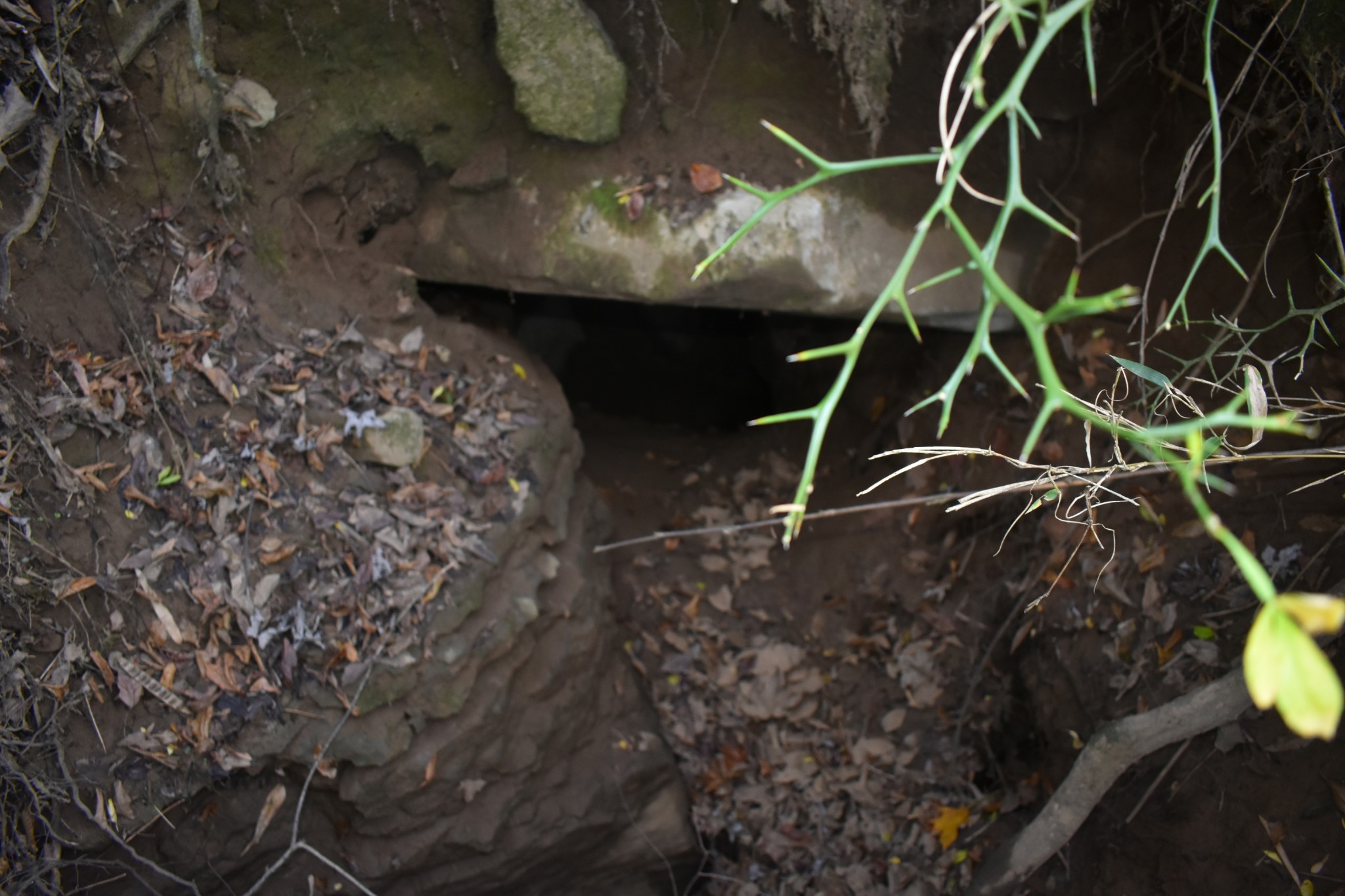 4755 Medley Amonette Road Buffalo Valley, TN 38548 - Photo 32 of 36