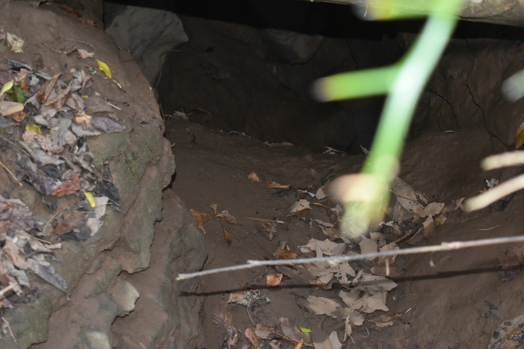 4755 Medley Amonette Road Buffalo Valley, TN 38548 - Photo 33 of 36