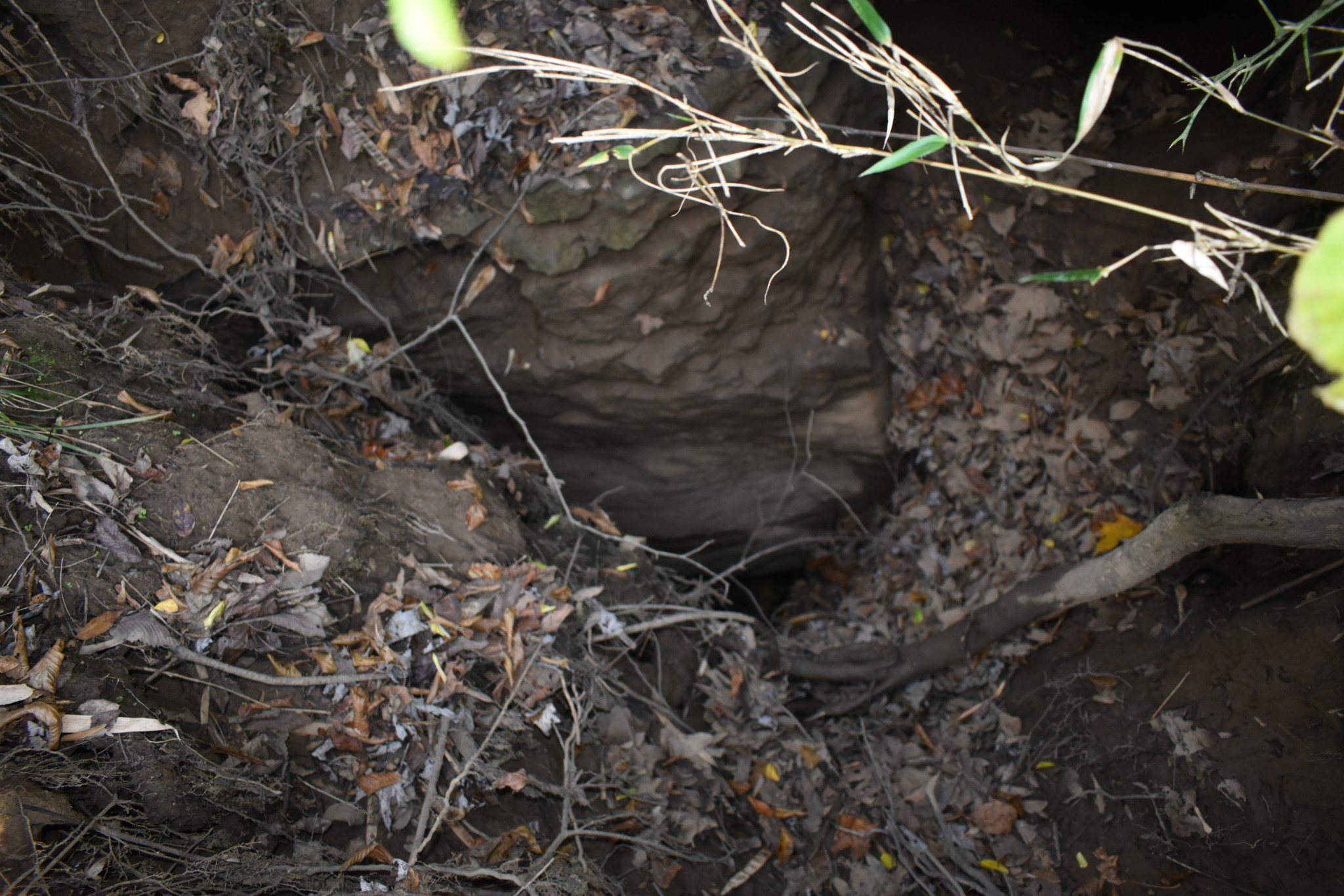 4755 Medley Amonette Road Buffalo Valley, TN 38548 - Photo 34 of 36