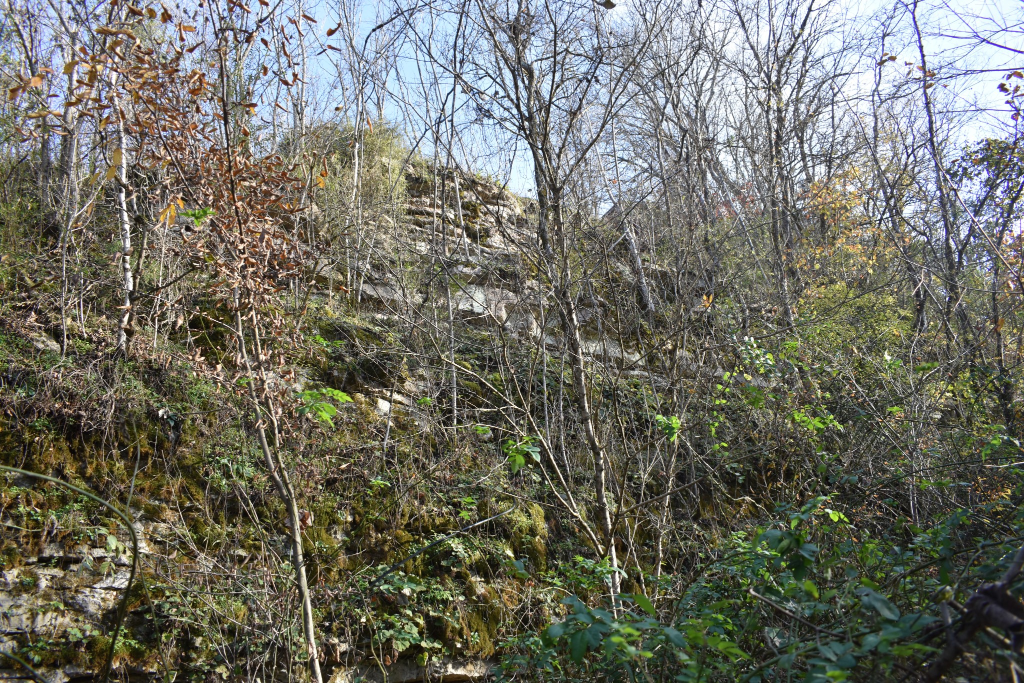 4755 Medley Amonette Road Buffalo Valley, TN 38548 - Photo 35 of 36