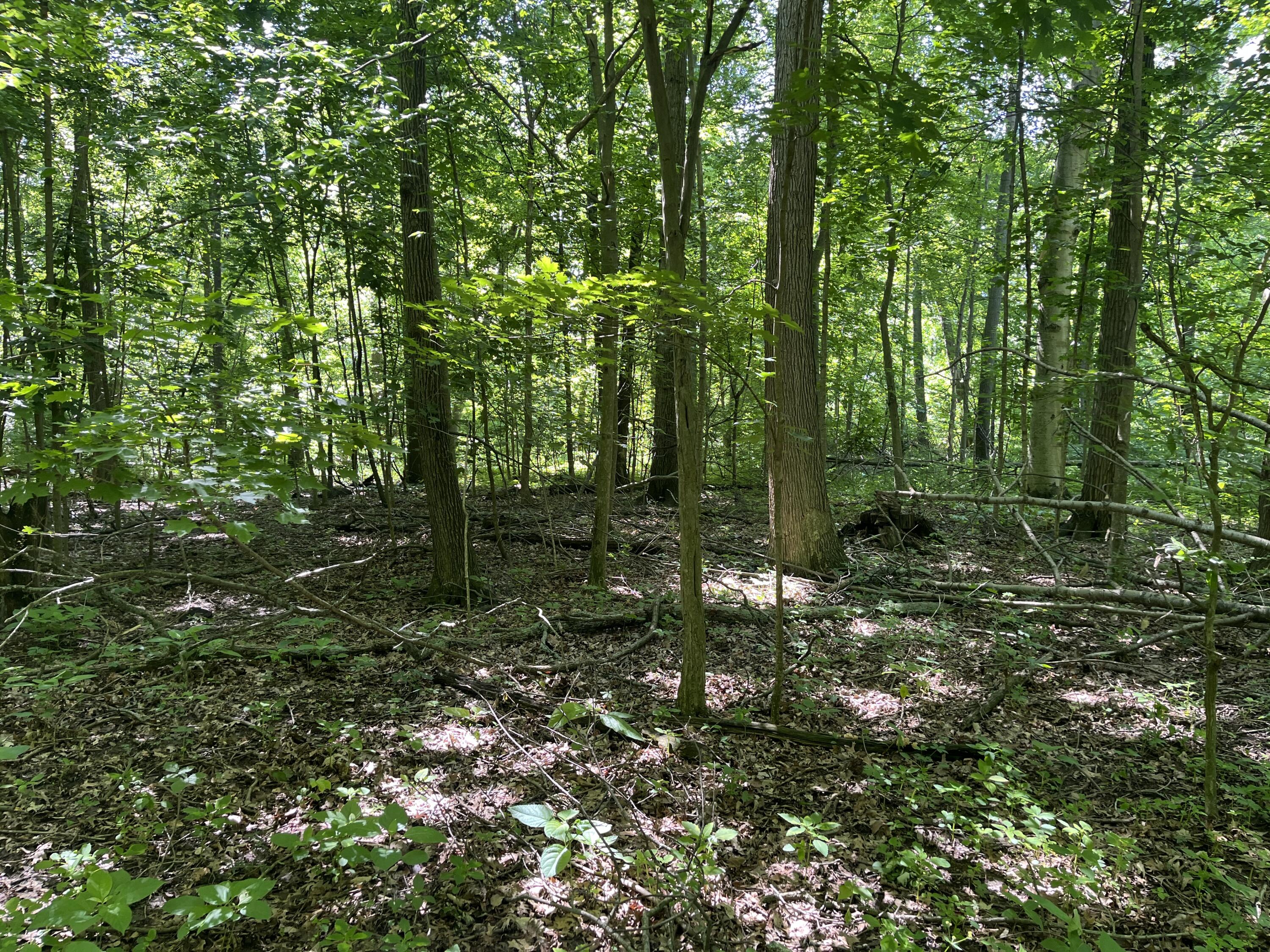 0 Boundary Road Richwood, OH 43344 - Photo 17 of 32