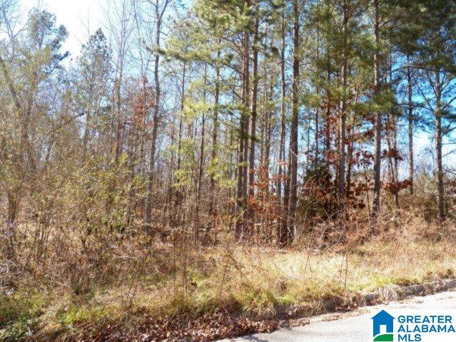 245 Covington Rdg Drive, Unit 34 Jacksonville, AL 36265 - Photo 4 of 11