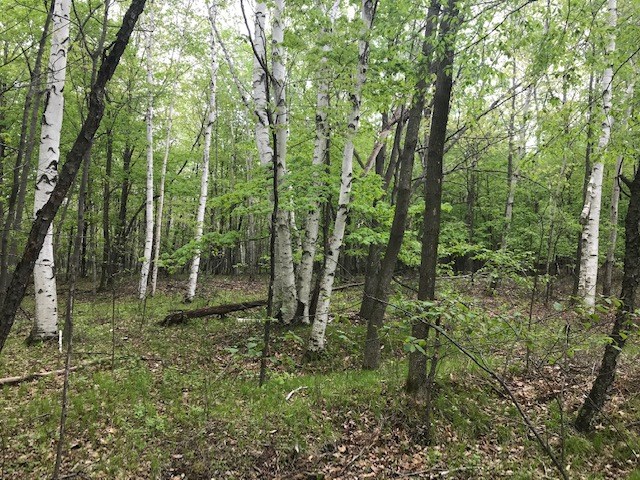 Island View Road Fish Creek, WI 54212 - Photo 3 of 13