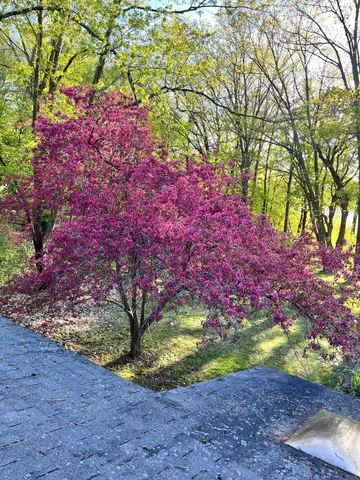 $645,000 | 1516 Twin Springs Road, Houlton, WI 54082