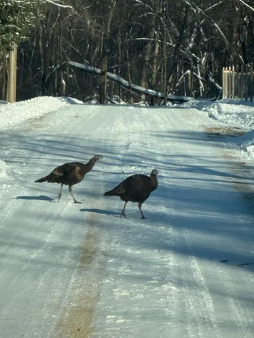 $645,000 | 1516 Twin Springs Road, Houlton, WI 54082