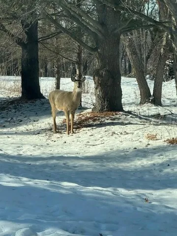 $645,000 | 1516 Twin Springs Road, Houlton, WI 54082