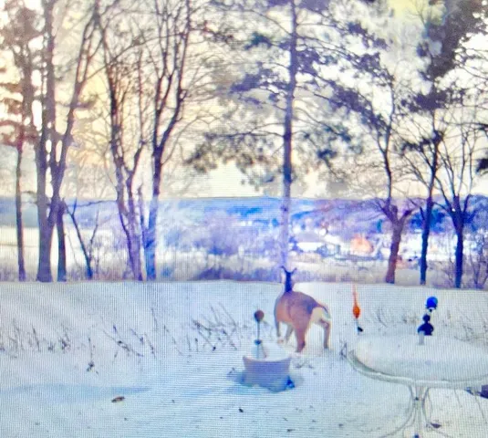 $645,000 | 1516 Twin Springs Road, Houlton, WI 54082