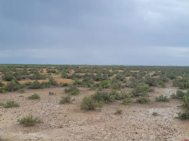 a view of a field with trees in background
