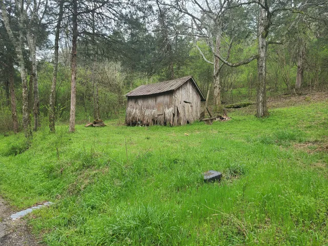 a view of a backyard with large trees and wooden fence