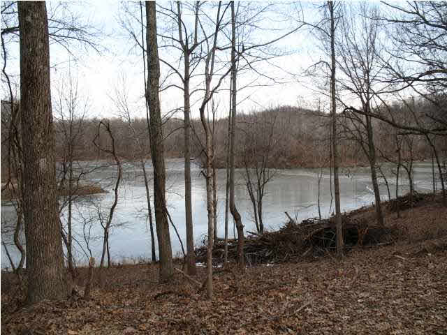 9326 Millstone Road Cannelton, IN 47520 - Photo 1 of 11 Gallery Image 1