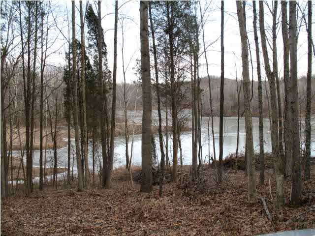 9326 Millstone Road Cannelton, IN 47520 - Photo 2 of 11 Gallery Image 2