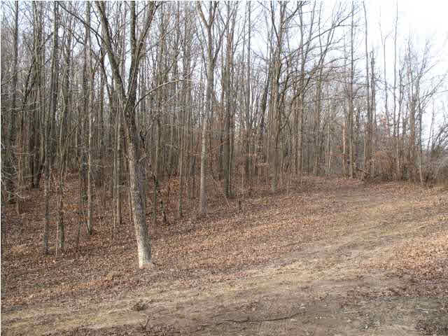 9326 Millstone Road Cannelton, IN 47520 - Photo 11 of 11 Gallery Image 11