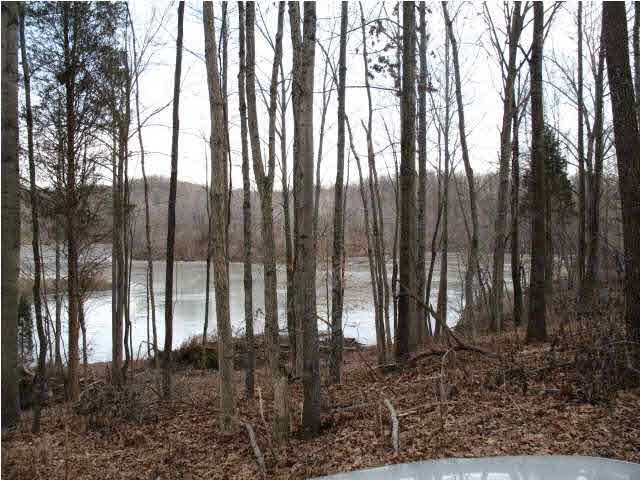 9326 Millstone Road Cannelton, IN 47520 - Photo 3 of 11 Gallery Image 3
