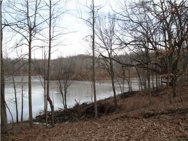 9326 Millstone Road Cannelton, IN 47520 - Photo 4 of 11 Gallery Image 4