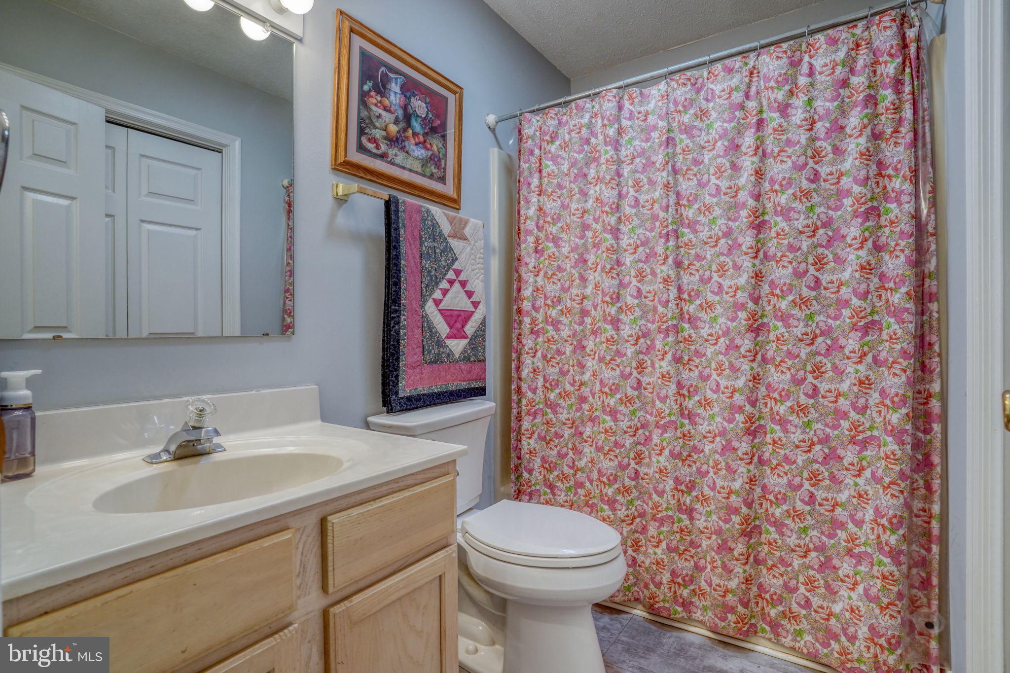 1406 Turkey Point Road Felton, DE 19943 - Photo 15 of 24 a bathroom with a sink and toilet