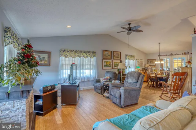 a living room with furniture potted plant and a window